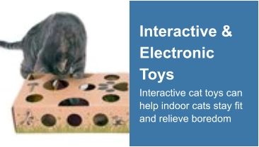 Interactive & Electronic Toys Interactive cat toys can help indoor cats stay fit and relieve boredom